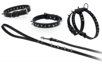 /album/fotos/arnes-y-collar-con-pinchos-jpg/